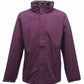RG601 Majestic Purple/Seal Grey Front